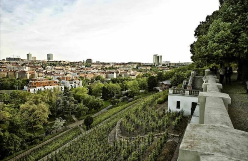 Cute With Gym, Rooftop Terraces And Laundry