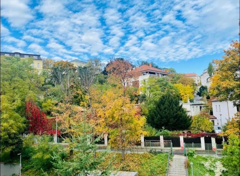 Cute With Gym, Rooftop Terraces And Laundry Apartment
