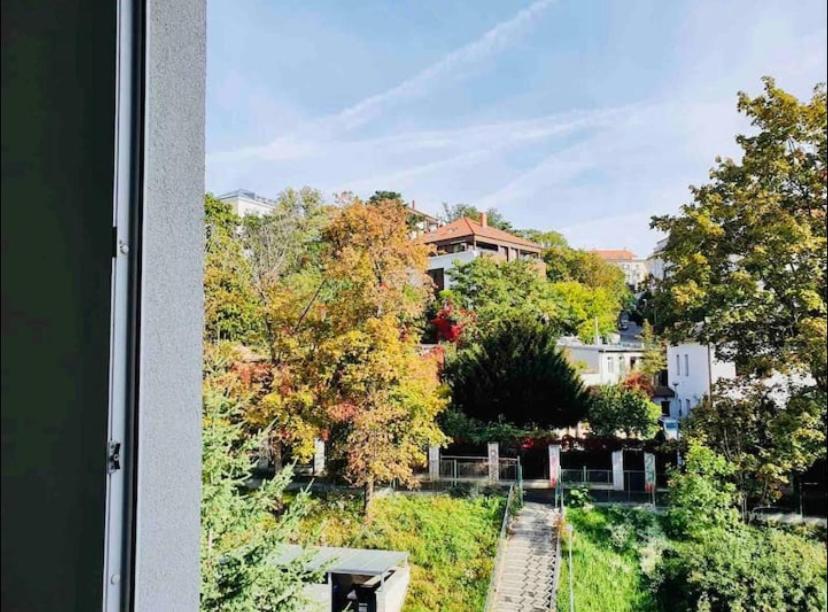 Apartment Cute With Gym, Rooftop Terraces And Laundry